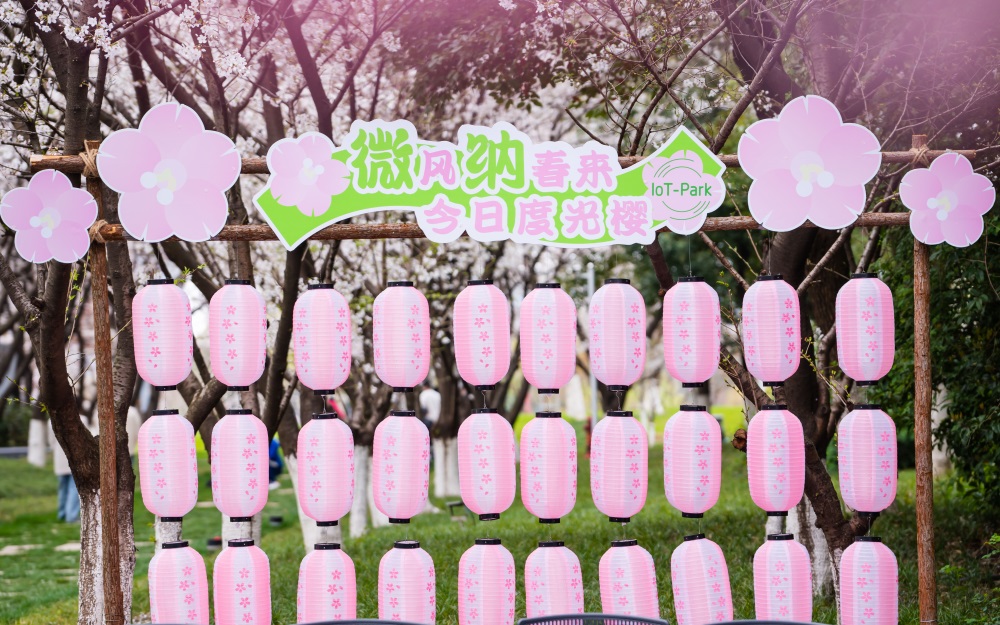 &#24320;&#20113;&#40;&#20013;&#22269;&#41;&#75;&#97;&#105;&#121;&#117;&#110;